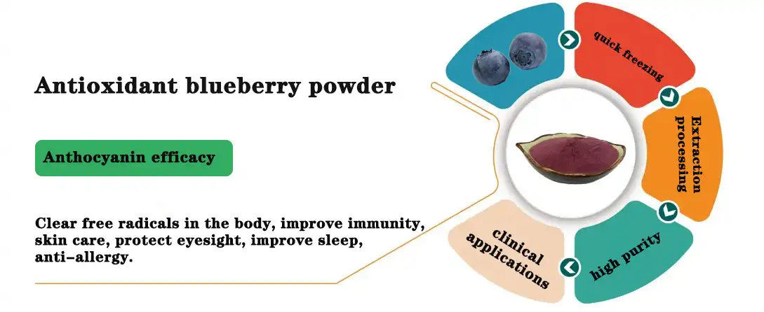 Pure Blueberry Powder.jpg